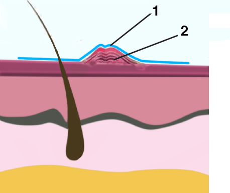 Diagrama de uso